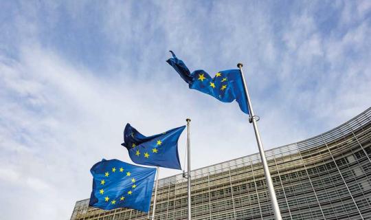 Europa. Così è, se vi pare… Le istituzioni europee raccontate facile. Terzo episodio