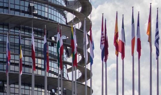 Europa. Così è, se vi pare… Le istituzioni europee raccontate facile. Quinto episodio