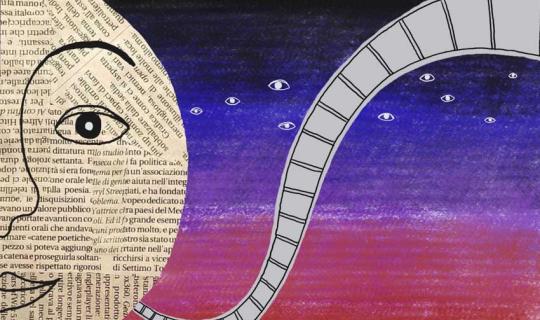 BRACCIANO 2-3 settembre: Cinema al lago