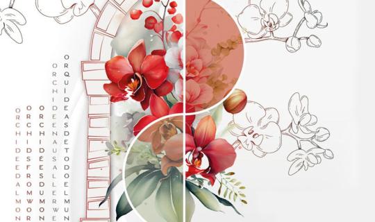 “Orchidee dal mondo” a Monte Porzio Catone dal 12 al 14 aprile 2024