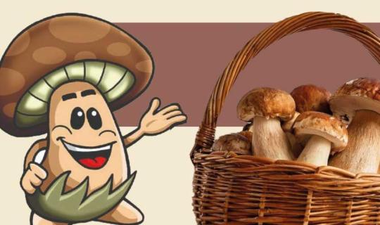 BELLEGRA: sedicesima edizione della Sagra delle Tacchie ai funghi porcini